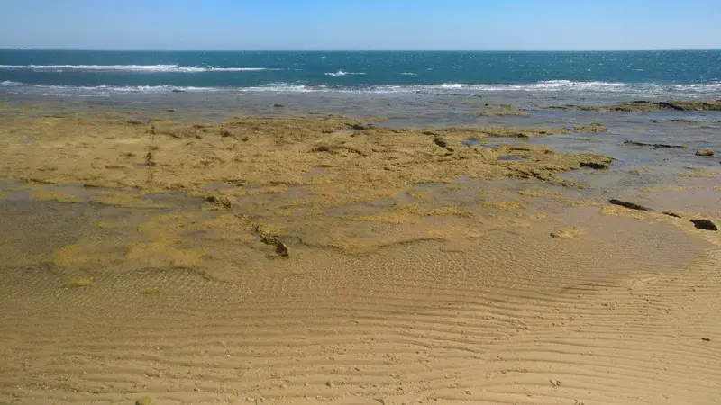 Take me back to the place that I know on the beach in Cadiz