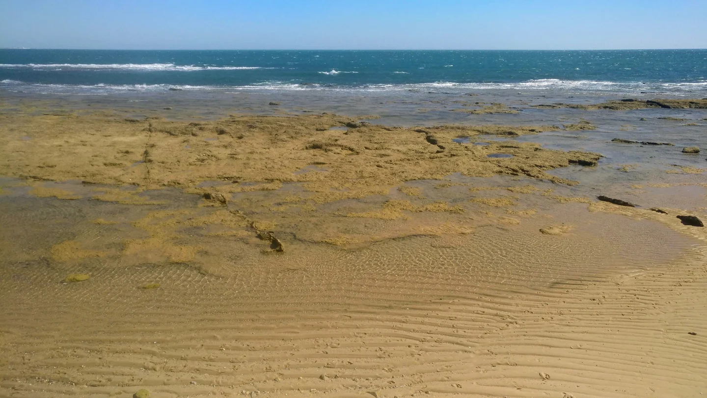 Take me back to the place that I know on the beach in Cadiz