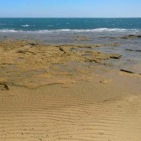 Take me back to the place that I know on the beach in Cadiz