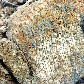 Weathered peridotite (Cádiz, SW Spain)