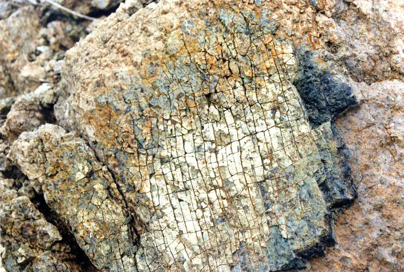 Weathered peridotite (Cádiz, SW Spain)