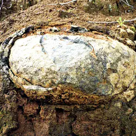 Onion skin weathering by thermal stress