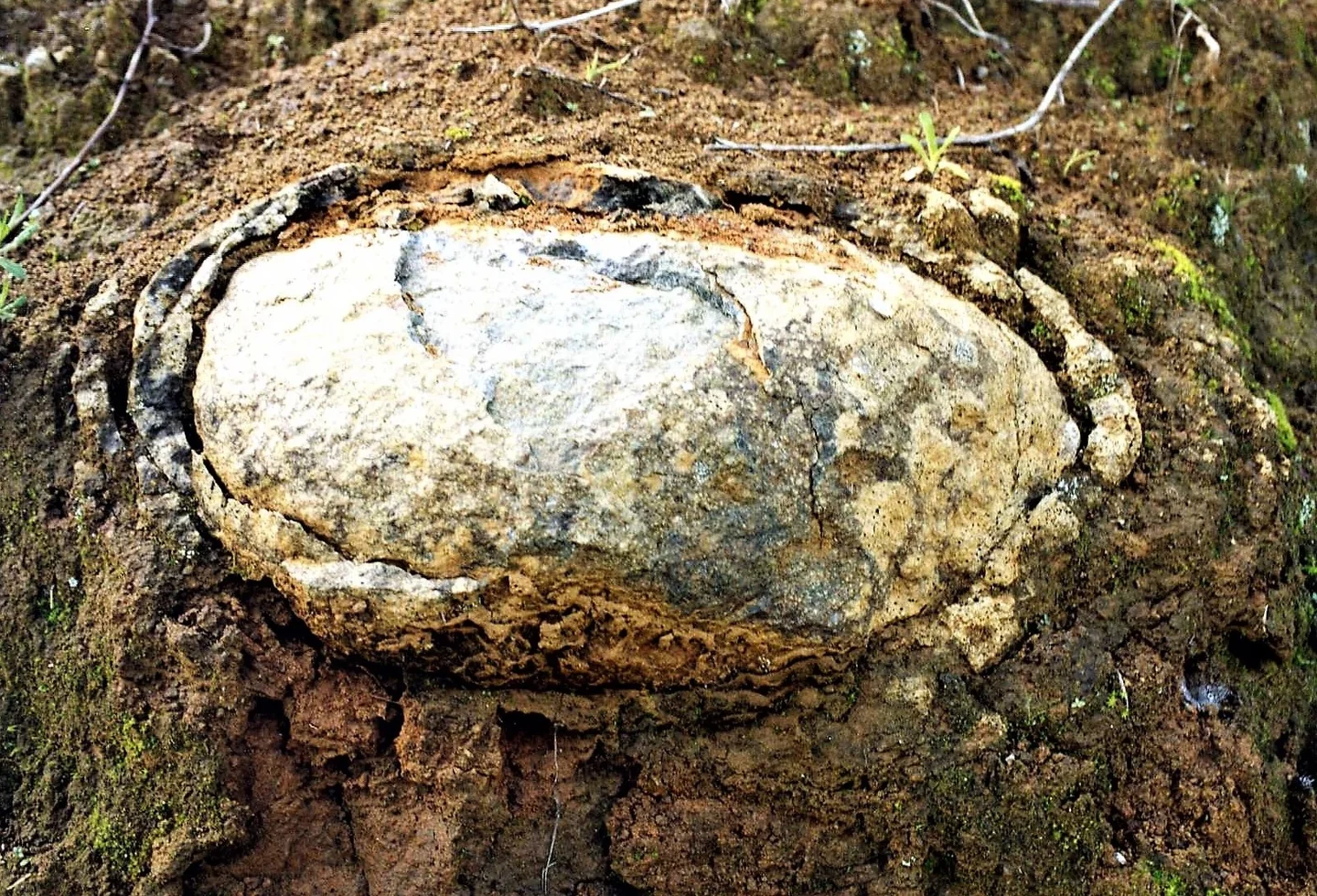 Onion skin weathering by thermal stress