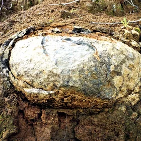 Onion skin weathering by thermal stress