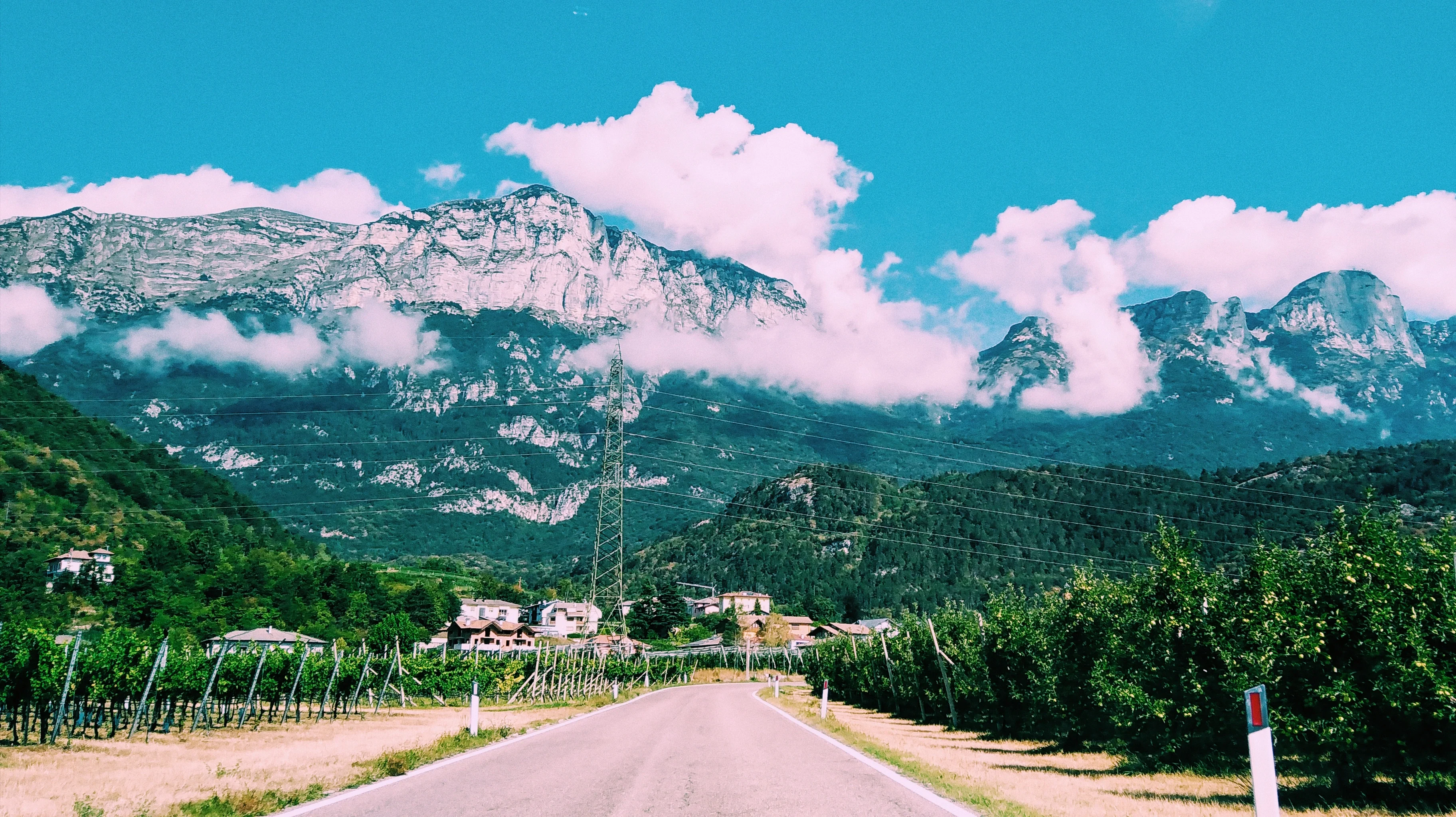 ° In the Lands of Cotton Candy °