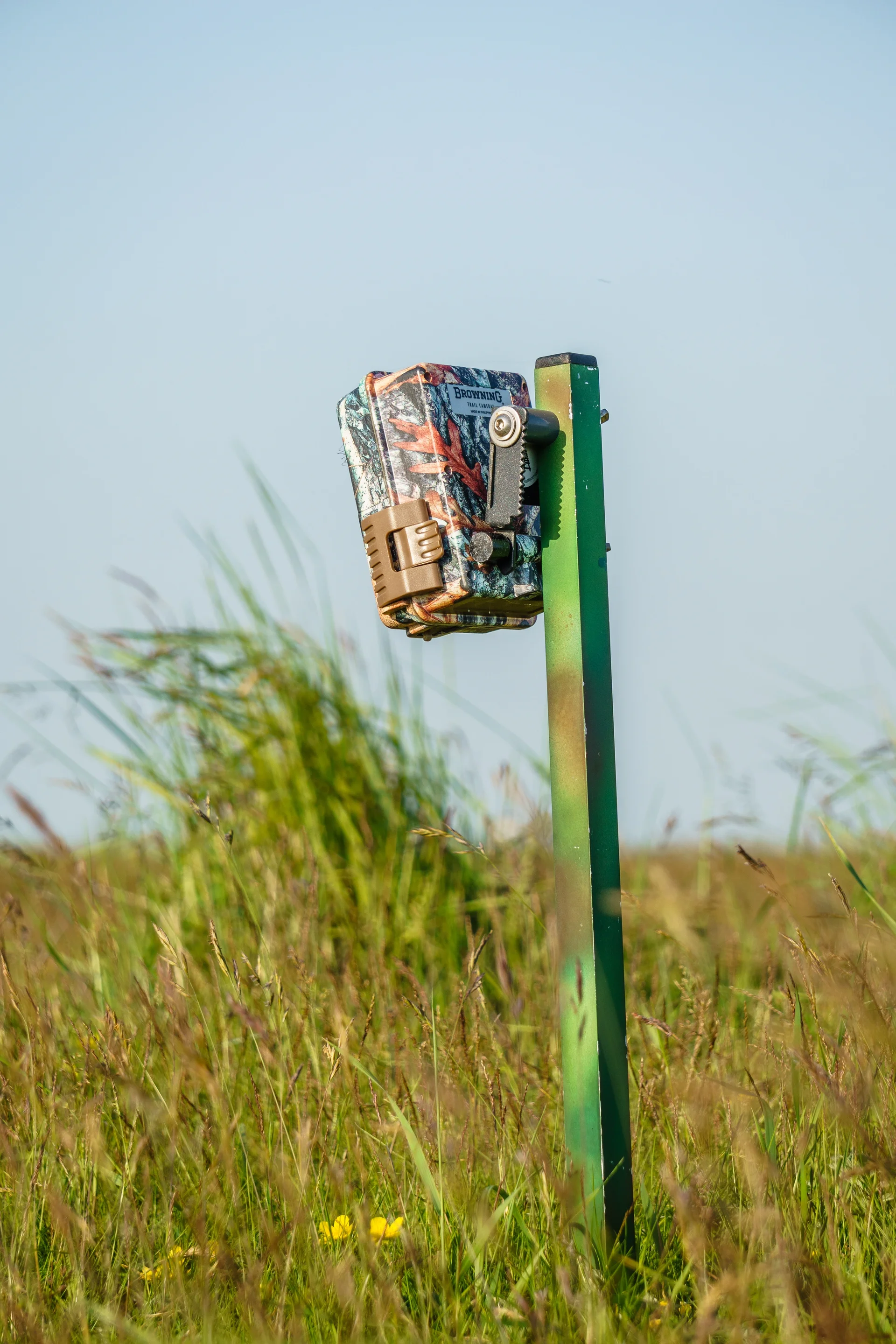 Bird monitoring in the german wadden sea