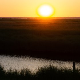 Salt marshes in Northern Germany at sunset