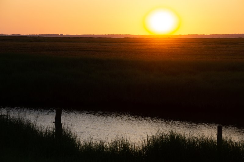 Salt marshes in Northern Germany at sunset