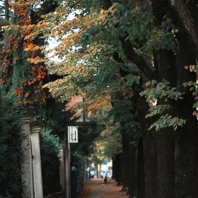 Arrival of Autumn in Italy