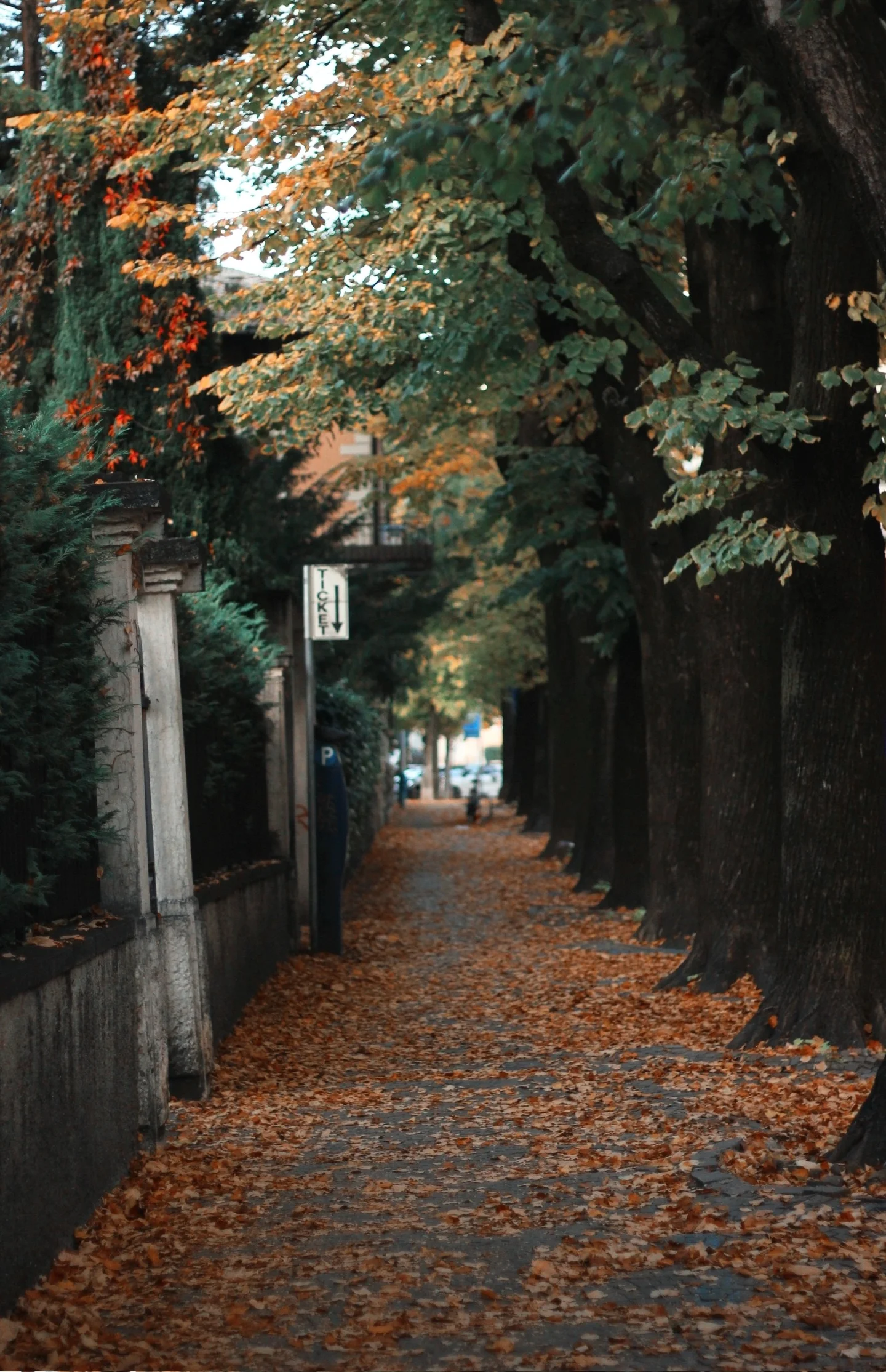 Arrival of Autumn in Italy