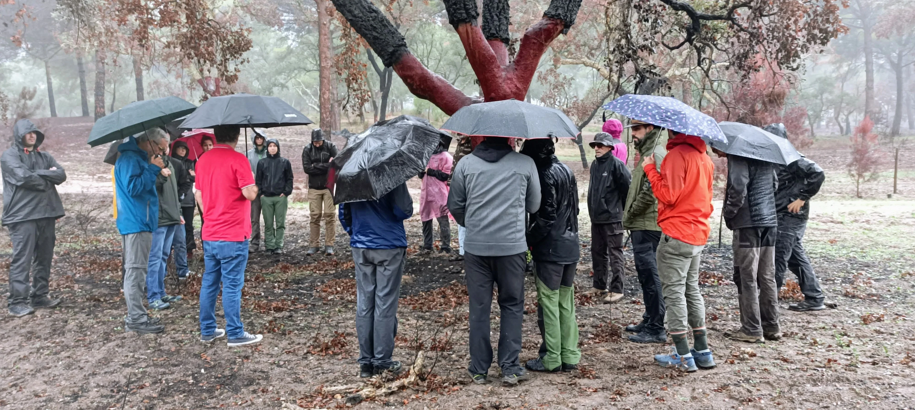 Participants in the FUEGORED2022 (Fire Effects on Soil Properties Network) meeting, Évora, Portugal