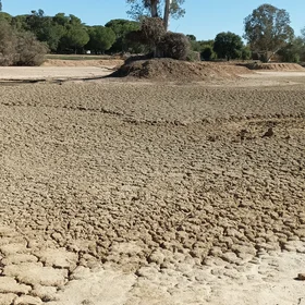 No water, no fish. No fish, no birds.