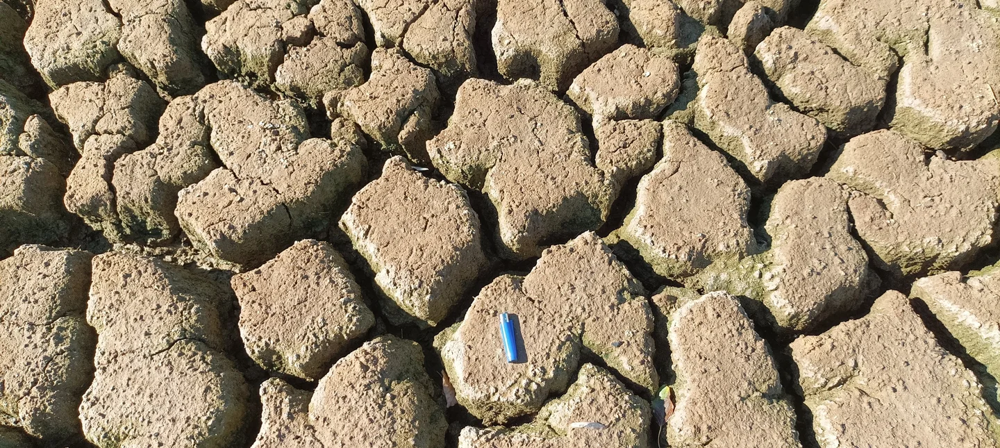 Scale model of Doñana marshes