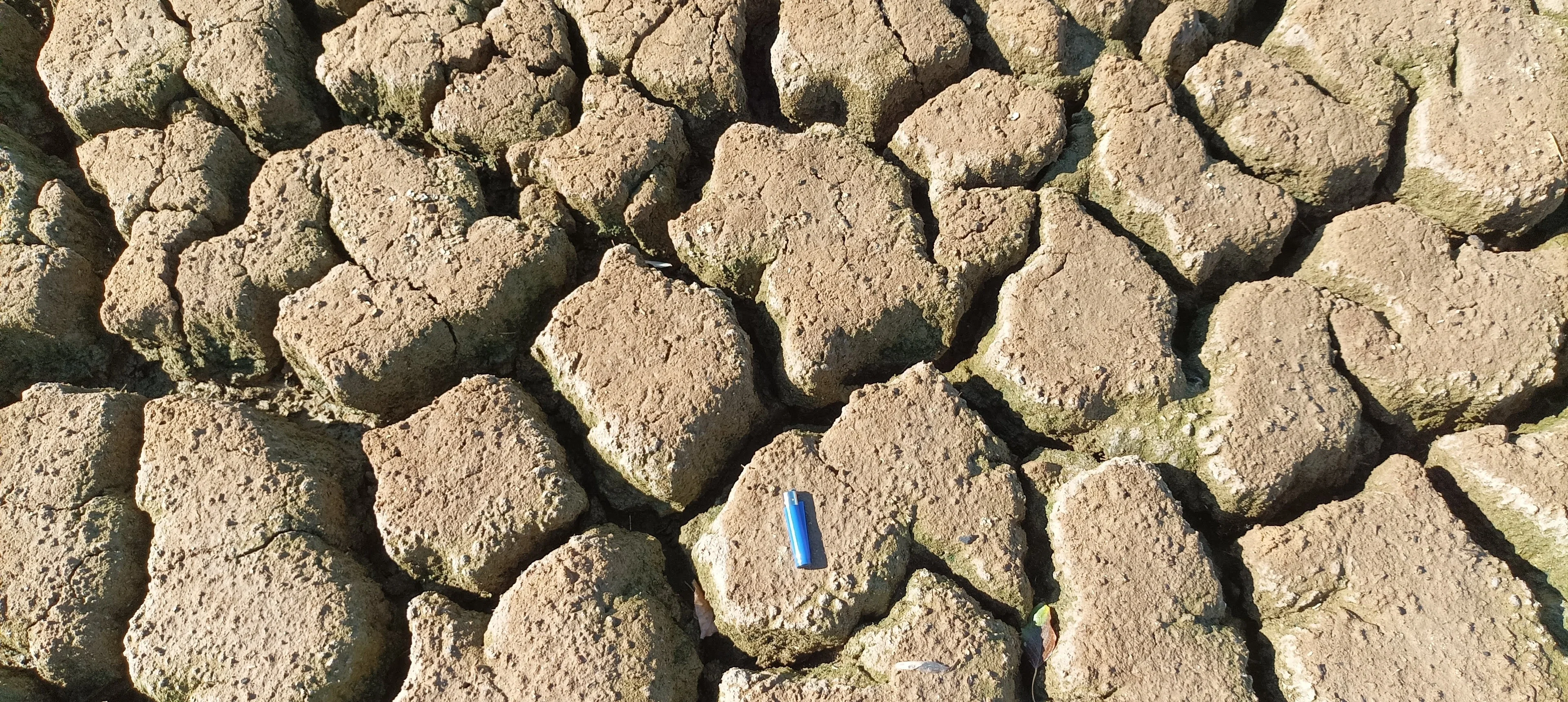 Scale model of Doñana marshes