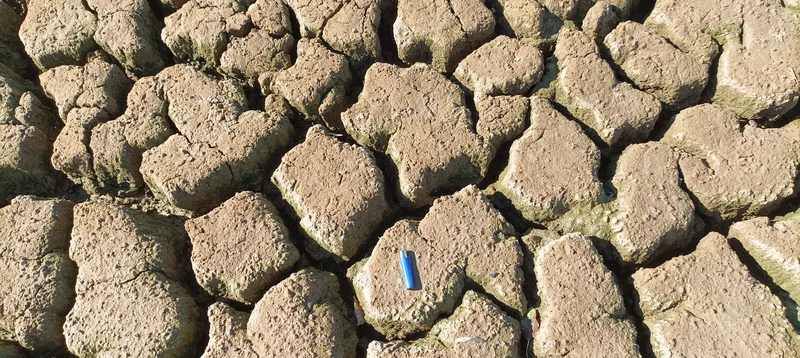 Scale model of Doñana marshes