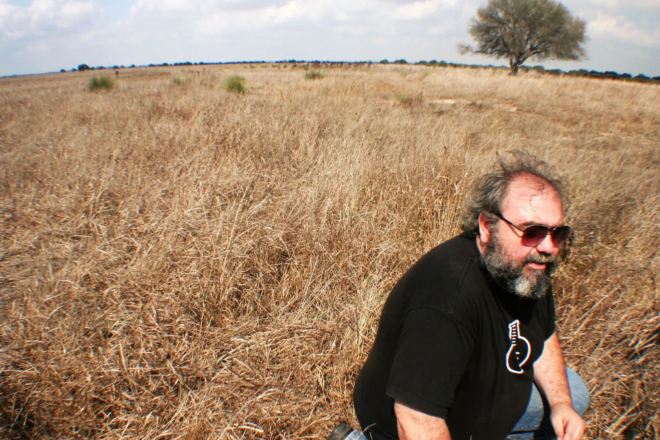 A warm and windy day in the marsh