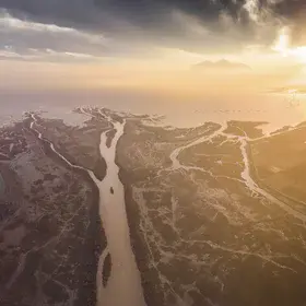 Tree of Life: Importance of Axios River Delta