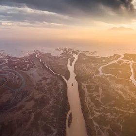 Tree of Life: Importance of Axios River Delta