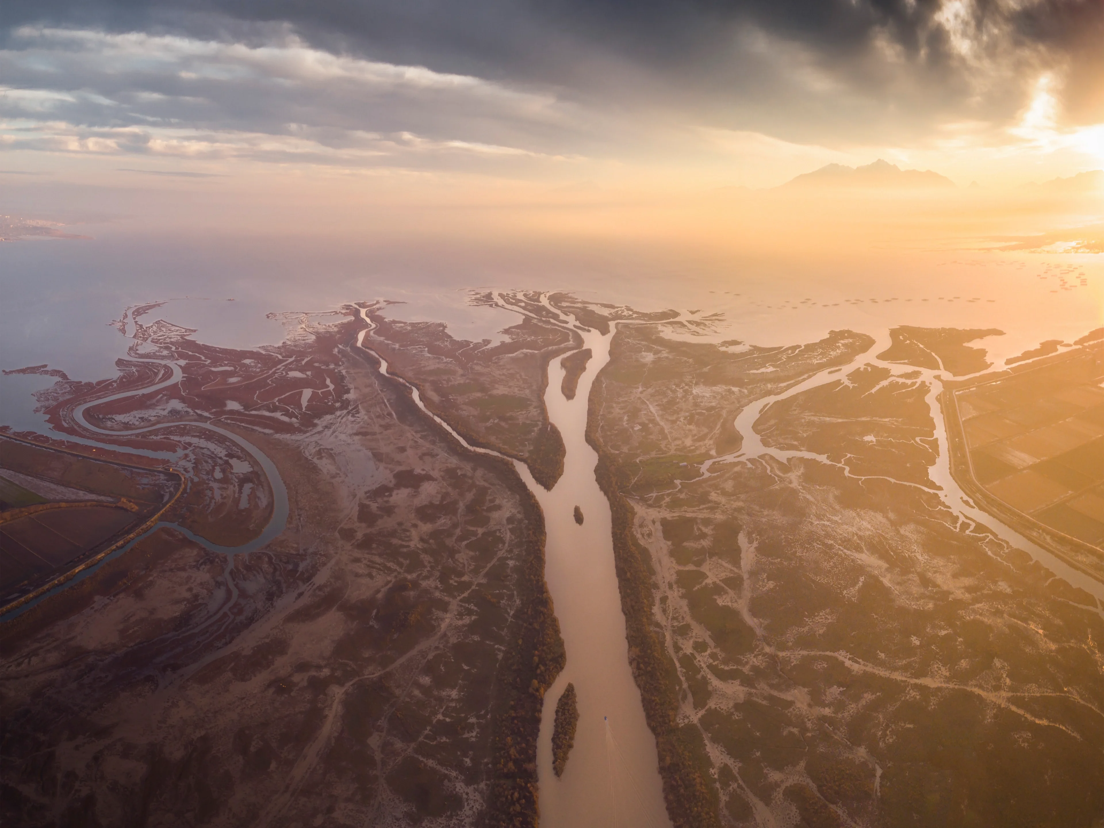 Tree of Life: Importance of Axios River Delta