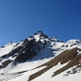 Himalayan Rocky Mountain