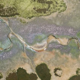 Low tide at the saltmarsh