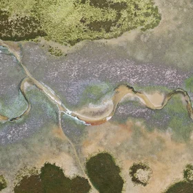 Low tide at the saltmarsh