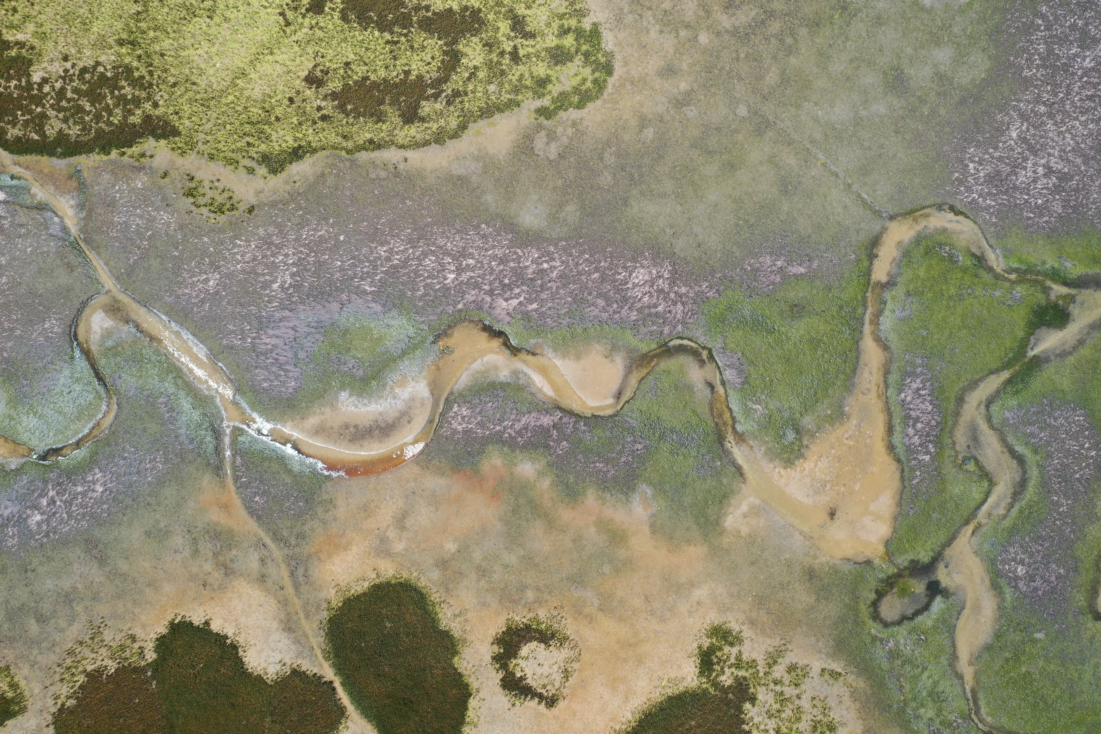 Low tide at the saltmarsh