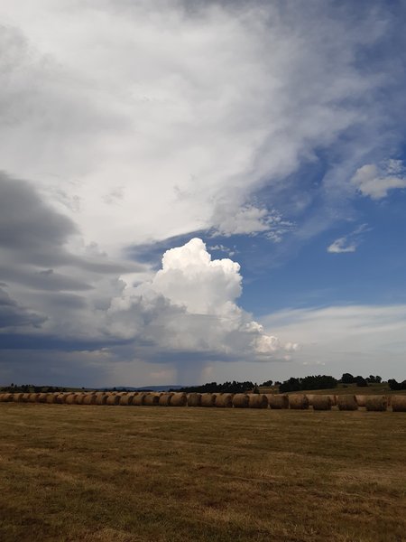 Cartoon rainfall cloud over a field