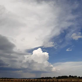 Cartoon rainfall cloud over a field