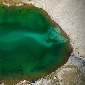 A vanished cat in the green lake