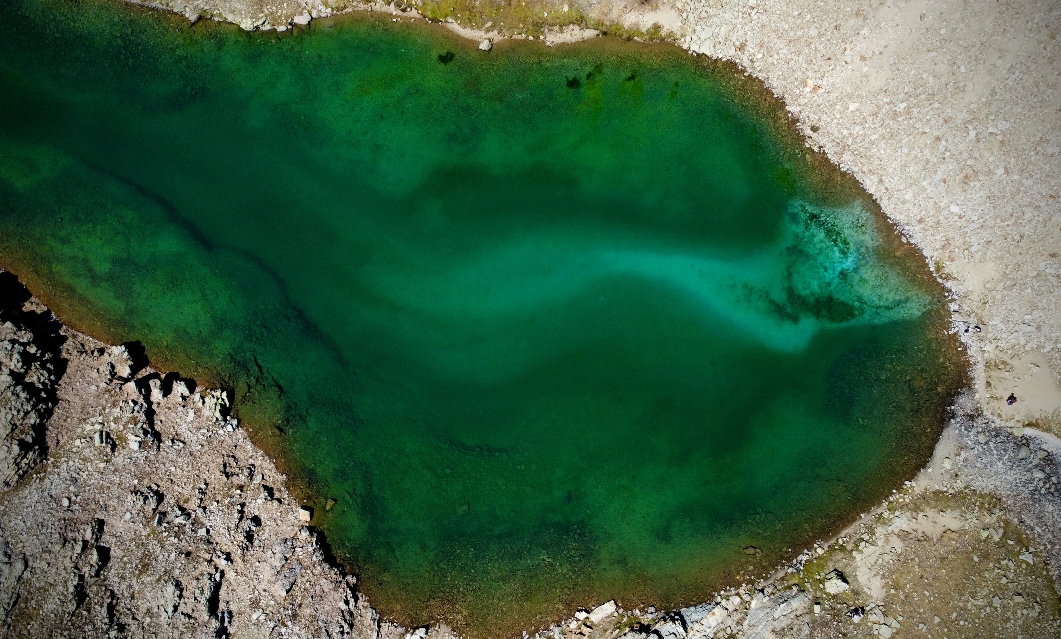 A vanished cat in the green lake