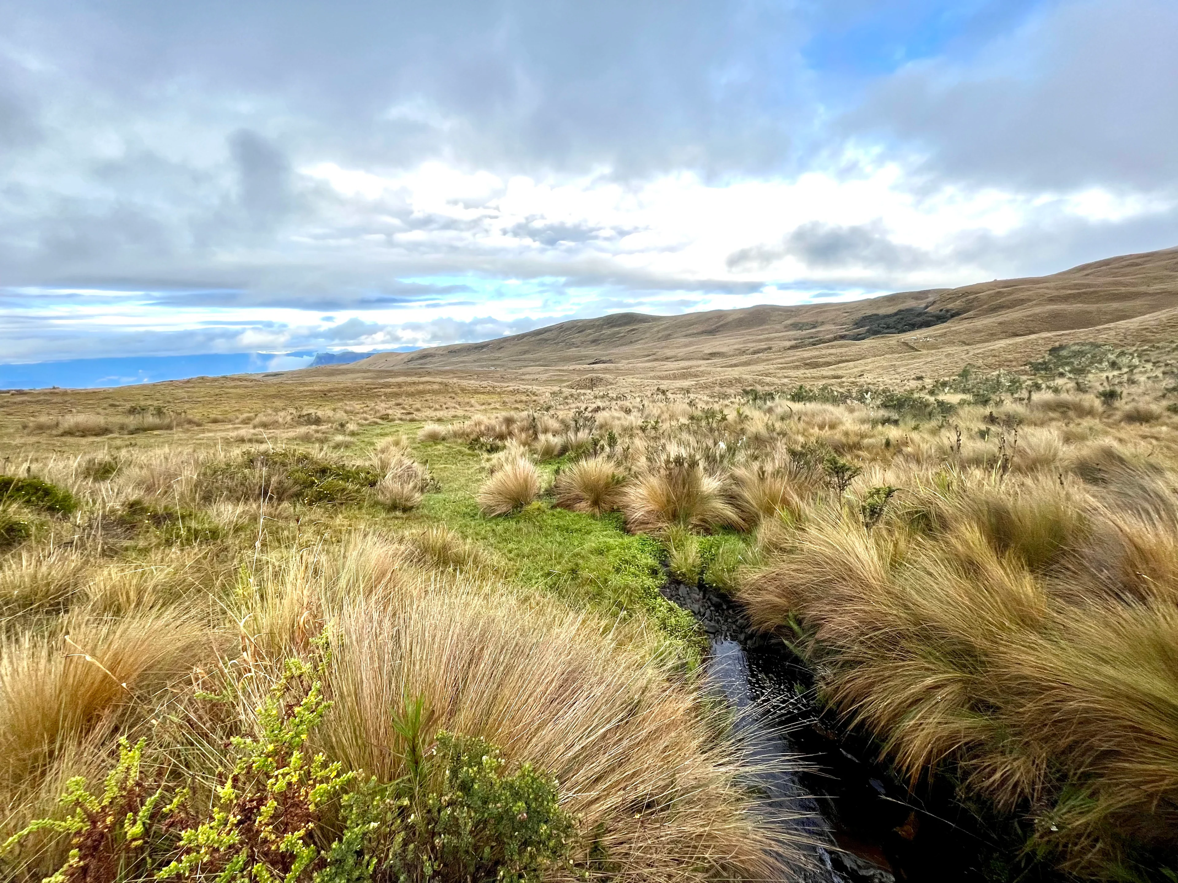 Calm and silence of Páramo andean.