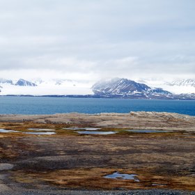 Contrasting colours of the Arctic