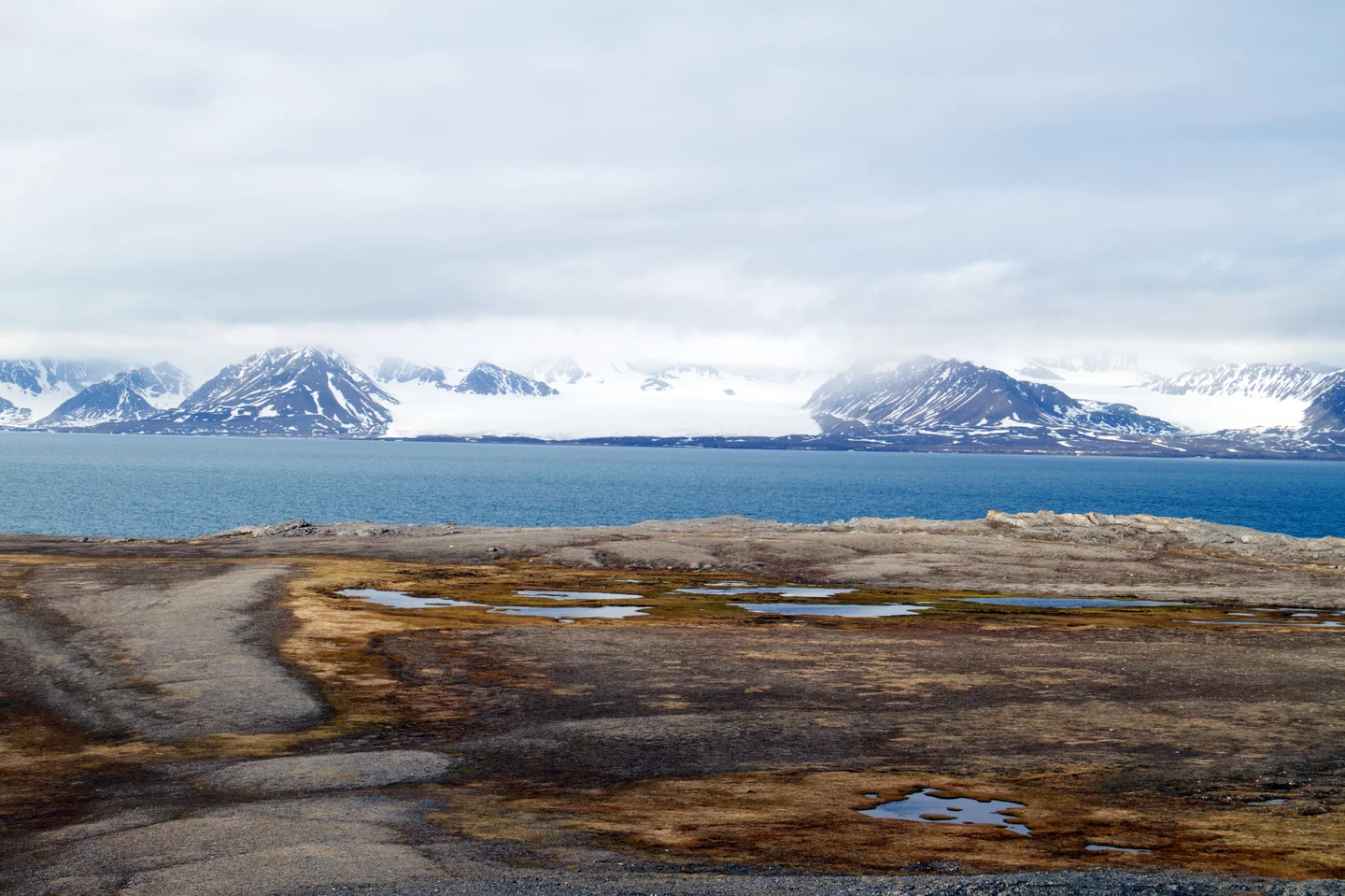 Contrasting colours of the Arctic