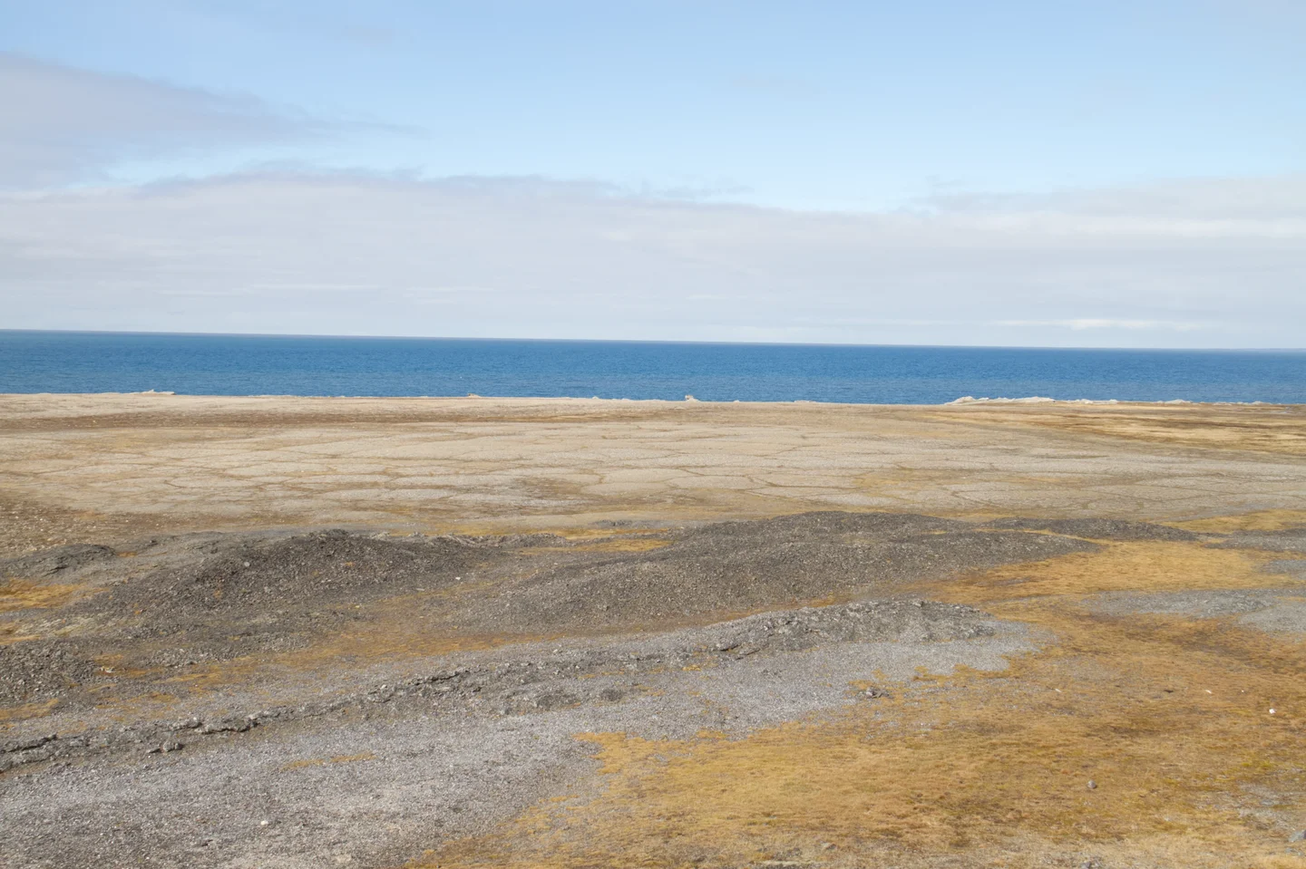 Arctic mosaic in permafrost