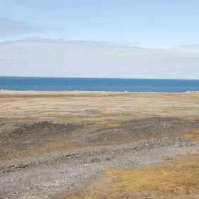 Arctic mosaic in permafrost