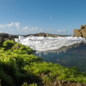 The movement of the tides