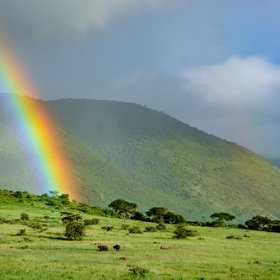 Pot of Gold: Ngorongoro Crater