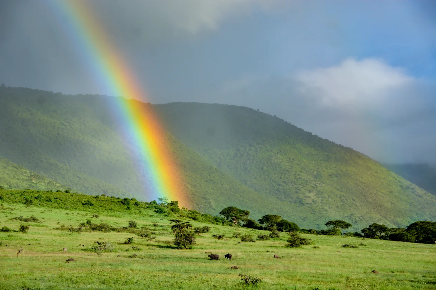 Pot of Gold: Ngorongoro Crater