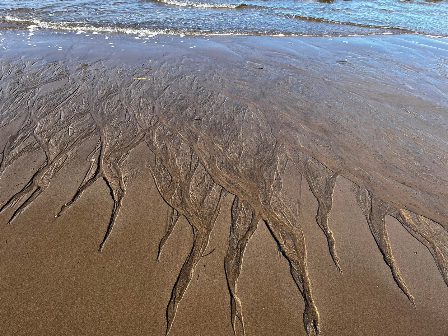 Patterns in the sand