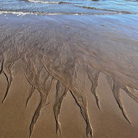 Patterns in the sand