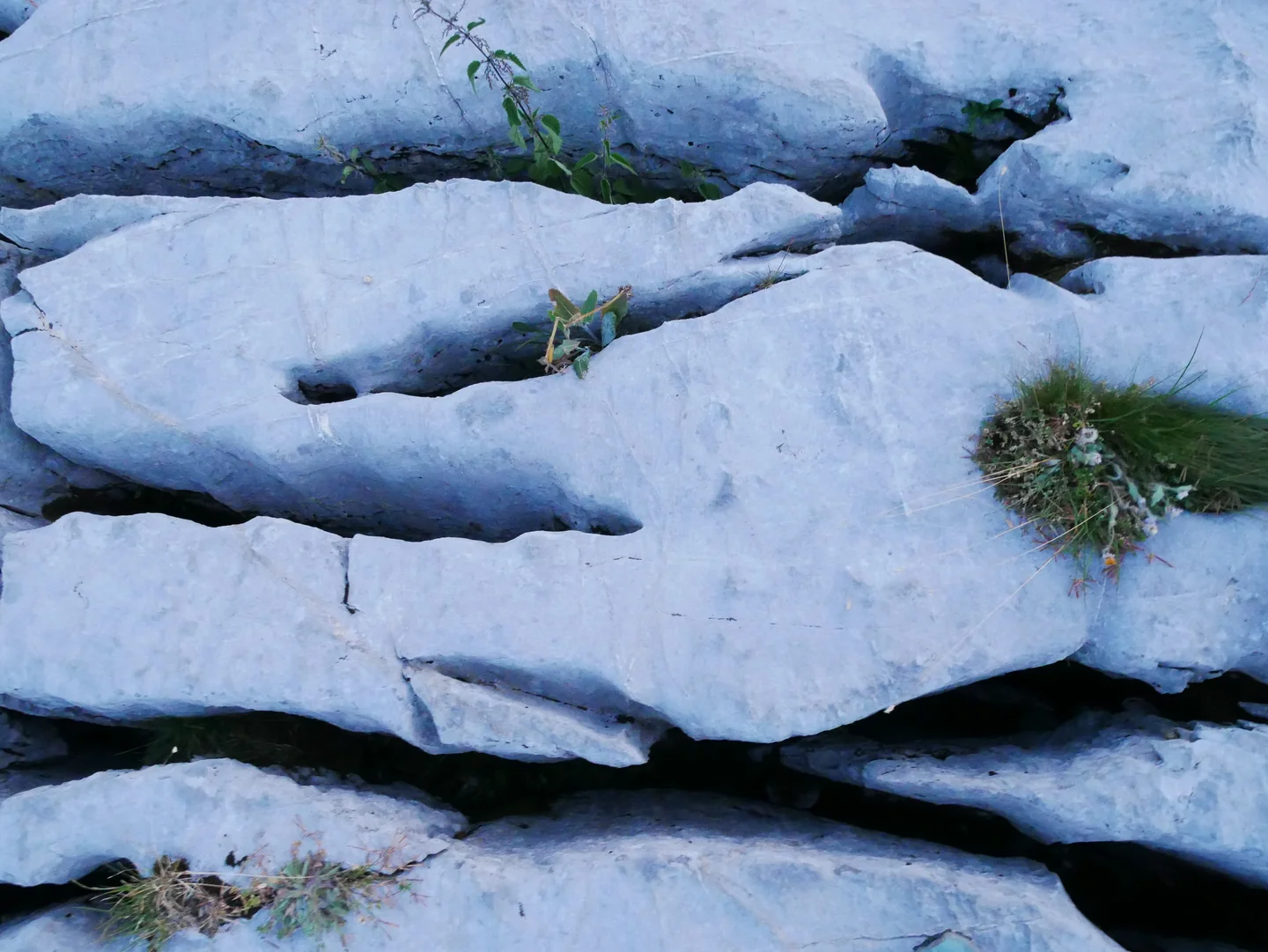 The scars of time in the Désert de Platé