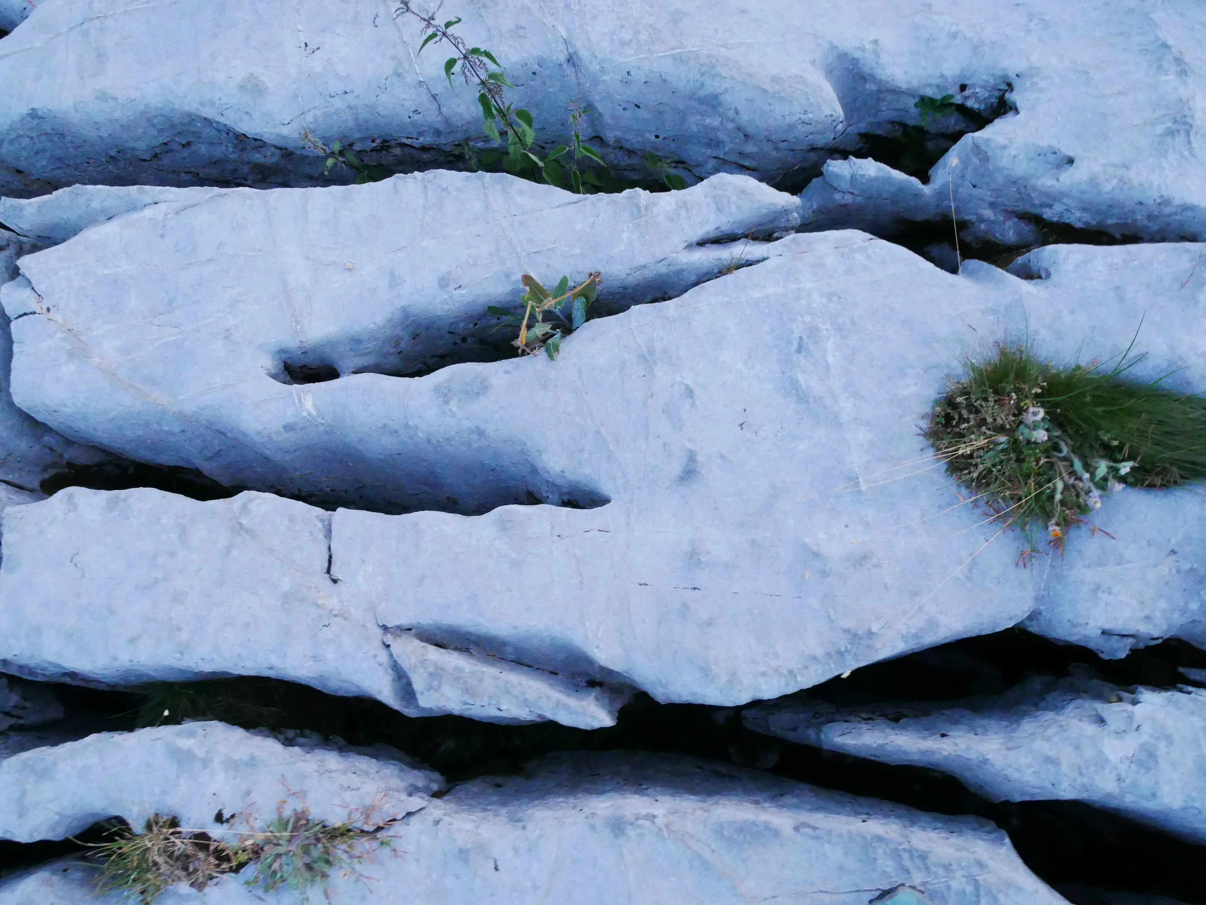 The scars of time in the Désert de Platé