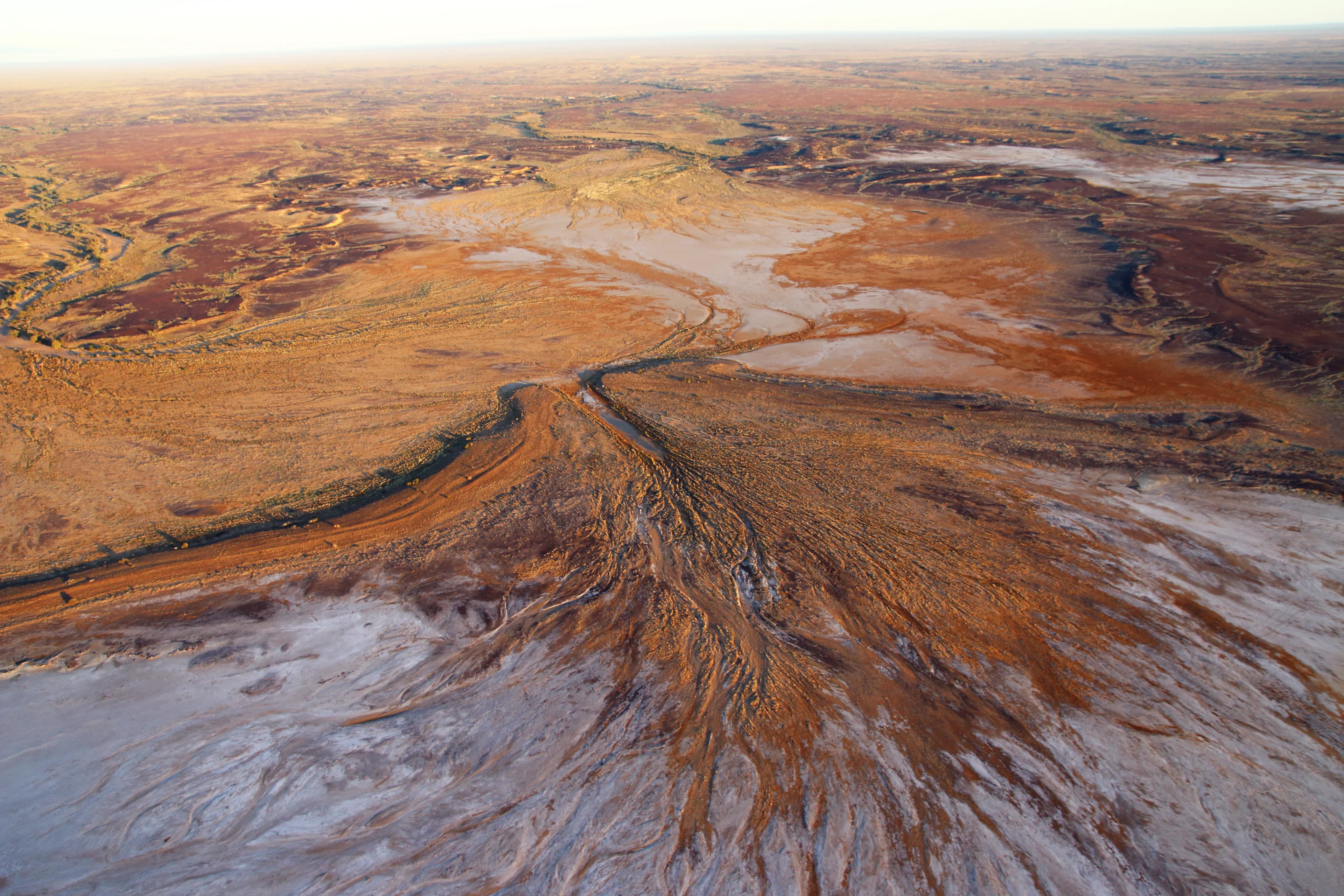 Ancient Shorelines and Extreme Rainstorms at Kati Thanda-Lake Eyre