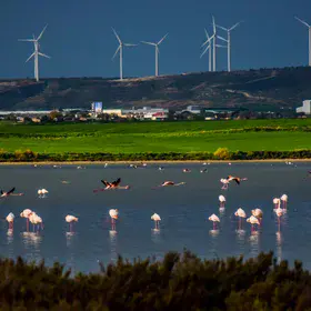 Larnaca Salt Lake in Cyprus