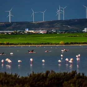 Larnaca Salt Lake in Cyprus