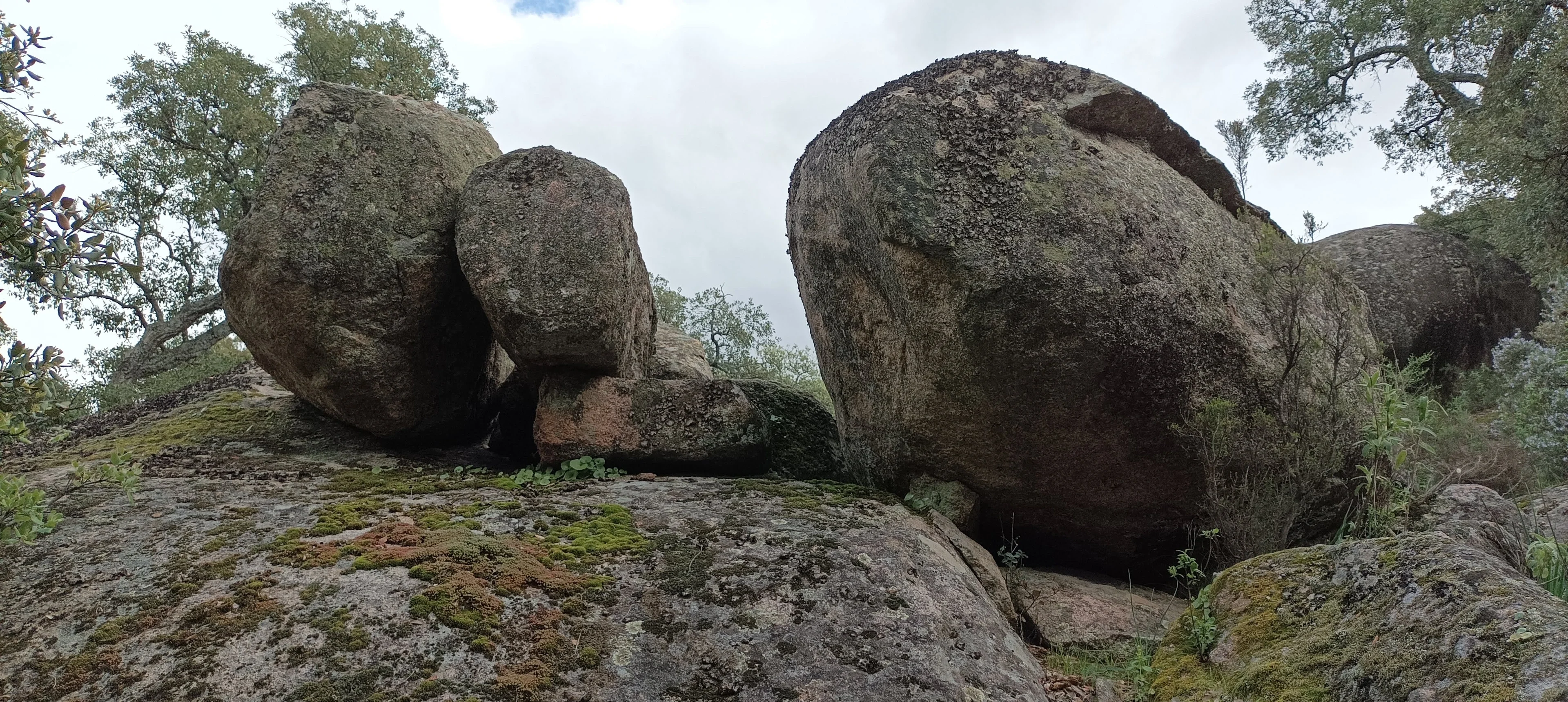 Granite: tima made solid