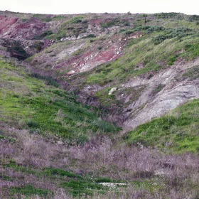Gully on a clayey slope near Tarifa (Cádiz, southern Spain)
