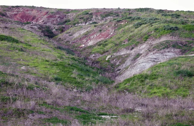 Gully on a clayey slope near Tarifa (Cádiz, southern Spain)