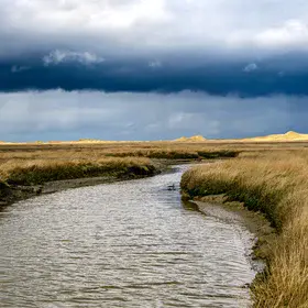 Tidal channel and saltmarsh in Germany